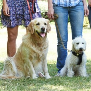 cours collectifs par philippe à Mantes la jolie